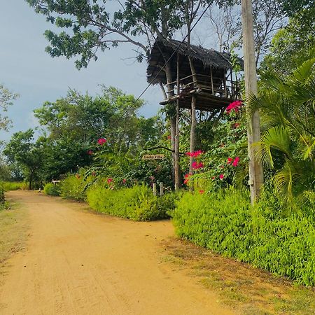 Lucky Villa Sigiriya Eksteriør billede