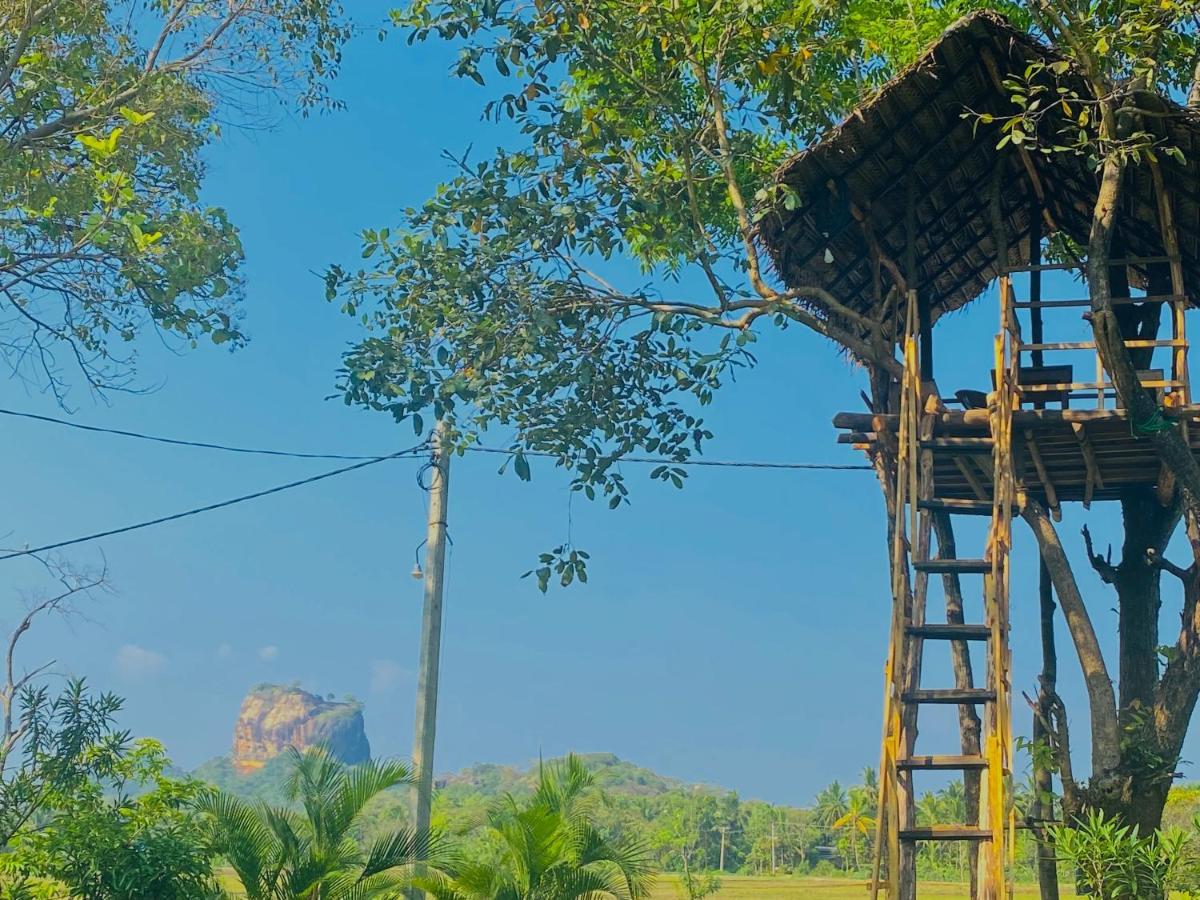 Lucky Villa Sigiriya Eksteriør billede