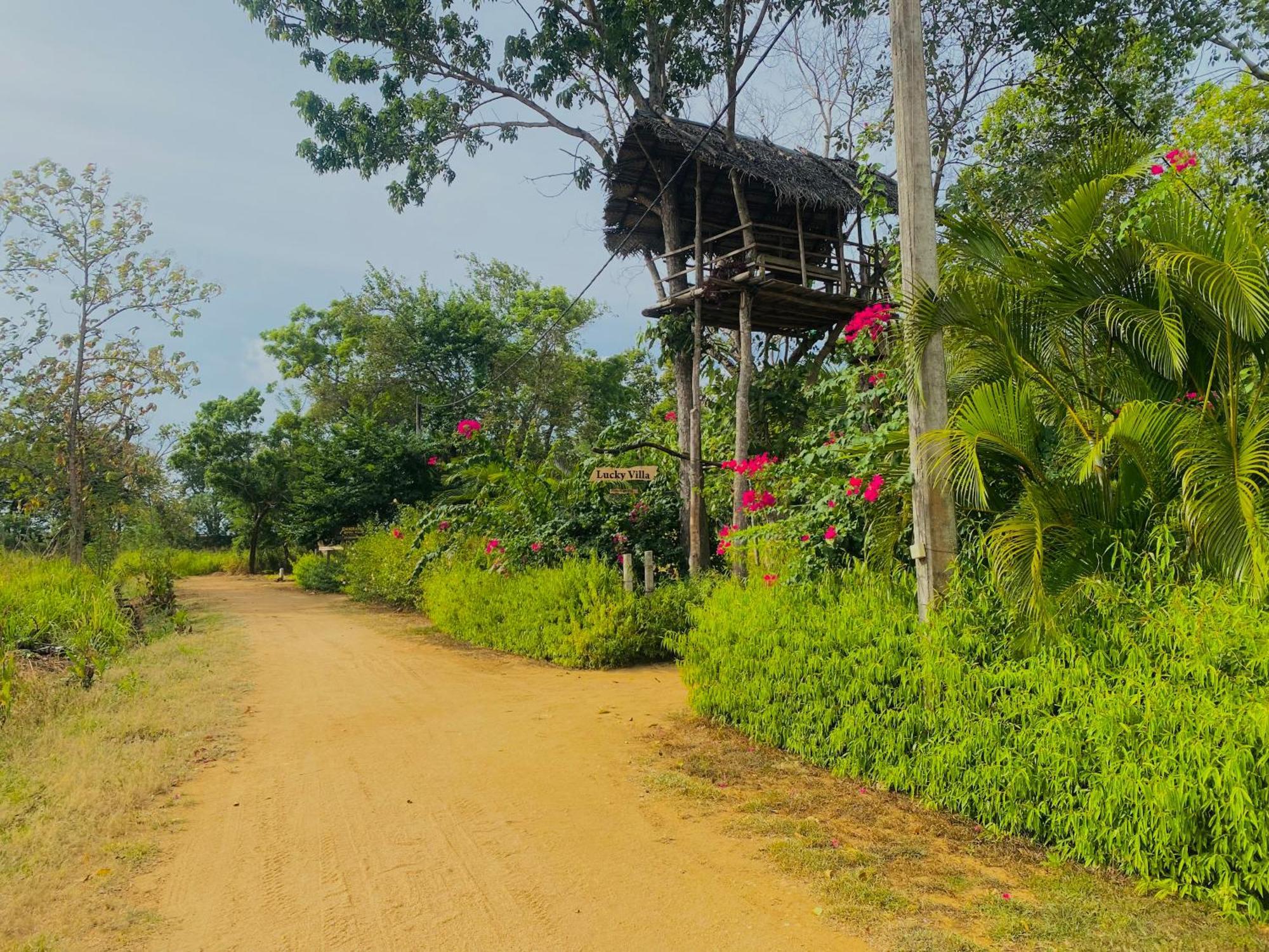 Lucky Villa Sigiriya Eksteriør billede